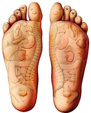 réflexologie près de Trets 